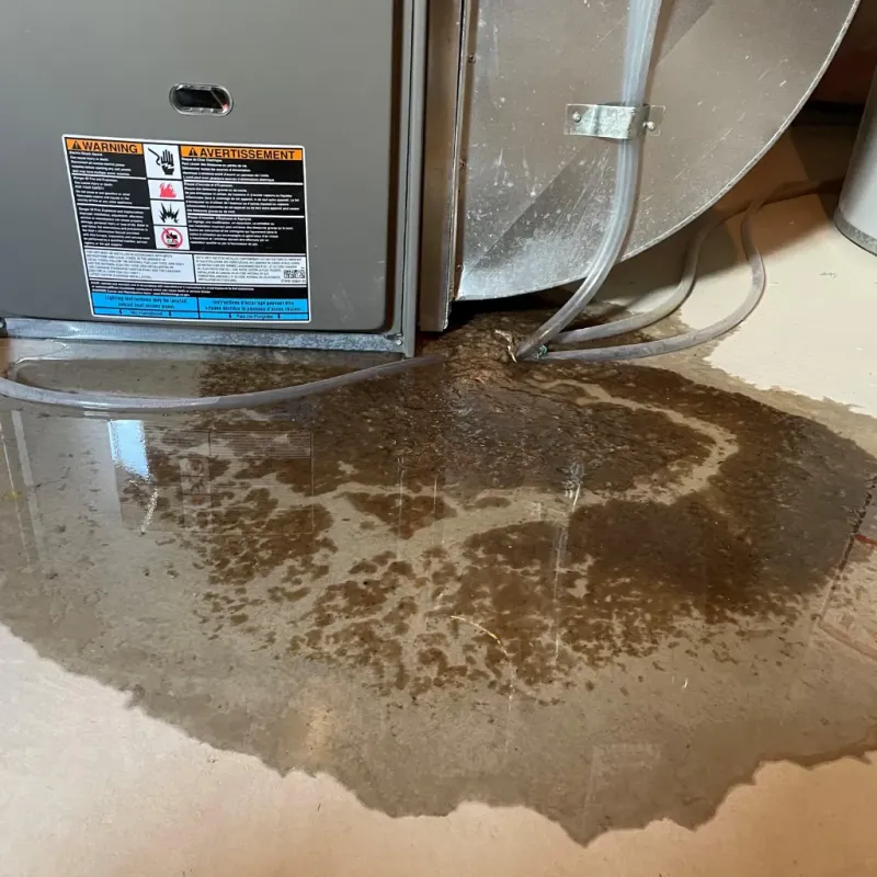 Appliance Leak Cleanup in Dickey County, ND